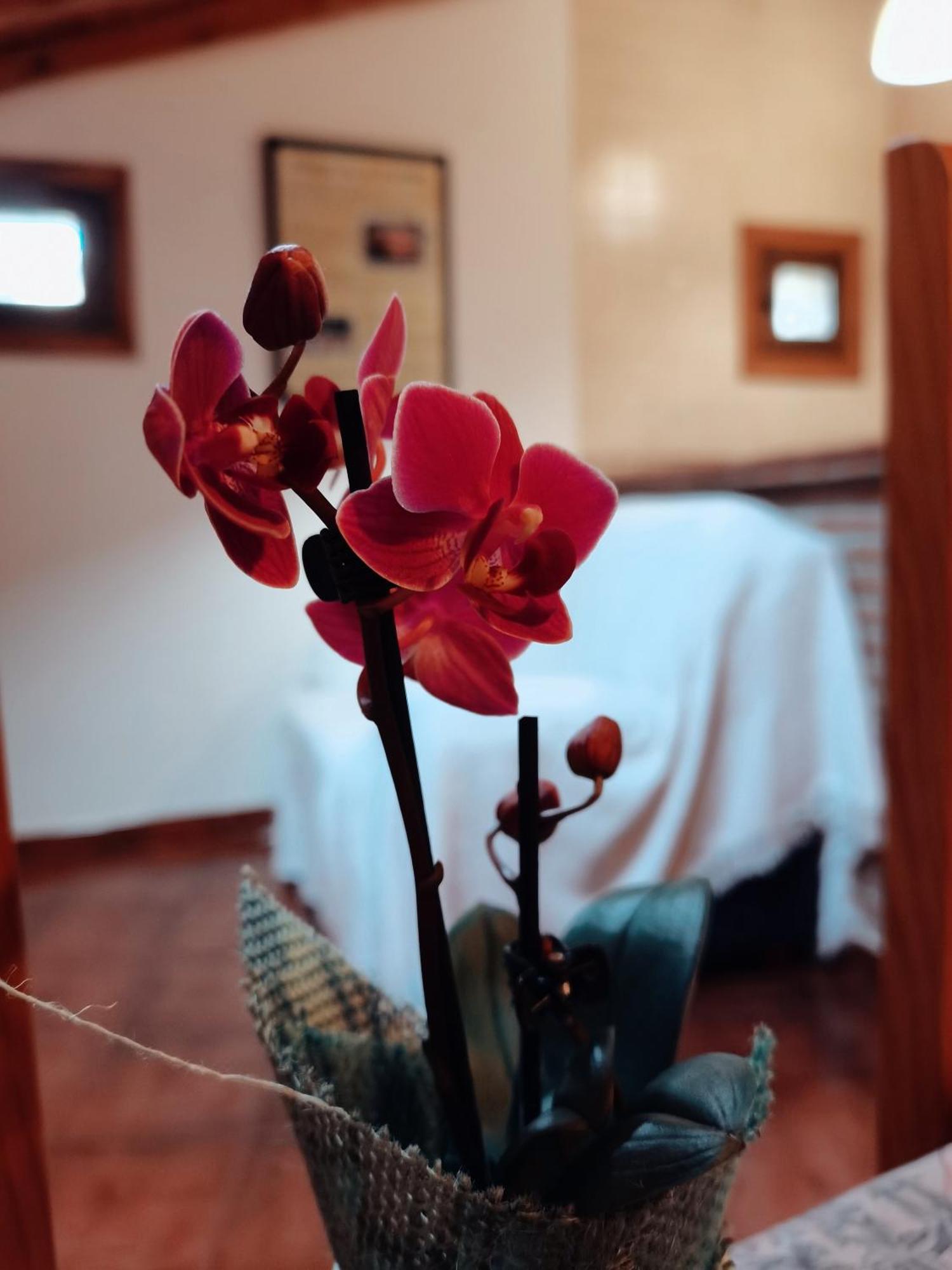 Casa Rural Parada Real Garganta la Olla Bagian luar foto