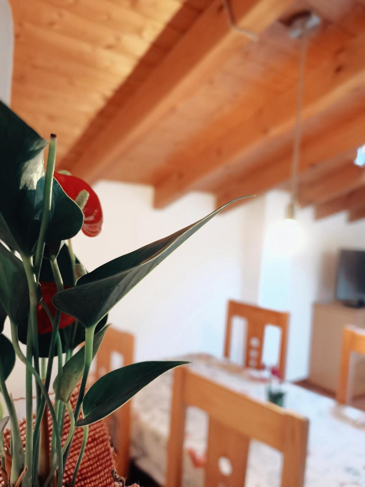Casa Rural Parada Real Garganta la Olla Bagian luar foto